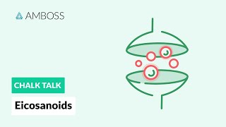 Eicosanoids Formation Function and Subclasses [upl. by Novia553]