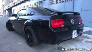 Ford Mustang GT Lovely V8 Sound  Start and Revs [upl. by Belcher47]