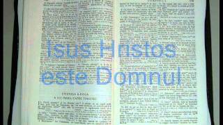 16  2  TIMOTEI  Noul Testament  Biblia Audio Romana [upl. by Jorgan]