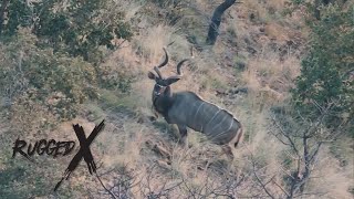 63” Greater Kudu Hunt [upl. by Eleirbag951]