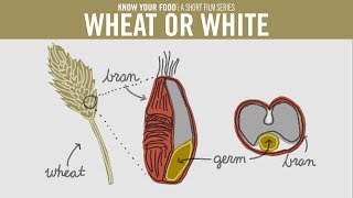 Wheat or White [upl. by O'Driscoll]