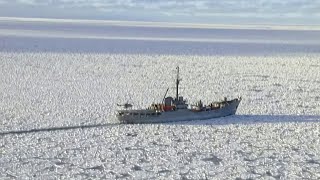 La Antártica Un Continente Sin Fronteras [upl. by Luanne489]