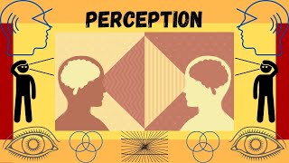 What is Perception Faculties of the Mind [upl. by Jaddan]