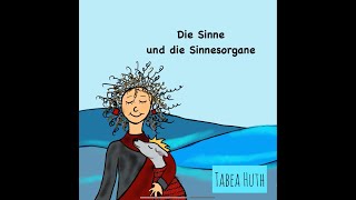 Die Sinne und die Sinnesorgane [upl. by Trudnak]