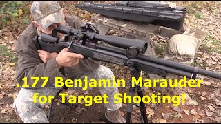 177 cal Benjamin Marauder for Target Shooting [upl. by Pascia]