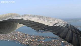 Common Cranes Fly Over Venice Narrated by David Tennant  Earthflight  BBC [upl. by Solegnave]