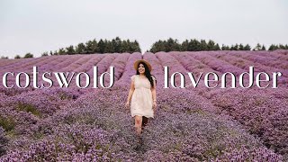 A DAY AT COTSWOLD LAVENDER FARM [upl. by Prue]