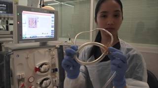 Setting up a Haemodialysis Machine Fresenius 5008 [upl. by Elmina]