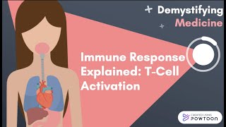 Immune Response Explained TCell Activation [upl. by Rolf743]