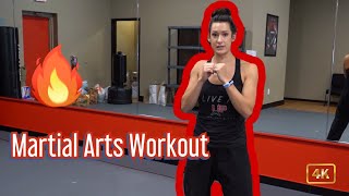 Cardio Martial Arts Workout  UpLevel Martial Arts [upl. by Eerized]