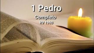 1 PEDRO Completo Biblia Hablada ReinaValera 1960 [upl. by Atteniuq]