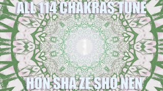 All 114 chakras meditation Hon Sha Ze Sho Nen Reiki Light for ALL CHAKRAS entire path UP to Source [upl. by Ahsel]