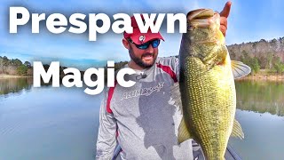 How to Fish for Largemouth Bass During Prespawn  Early Spring Fishing [upl. by Grevera]