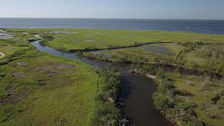 West Sayville wetlands [upl. by Frasco772]