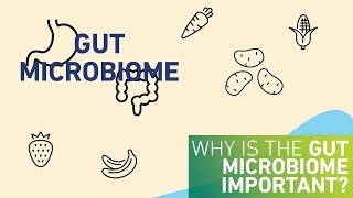 Why is the gut microbiome important [upl. by Annette138]