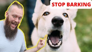 How to Train Your Dog to STOP BARKING at EVERYTHING [upl. by Brock]