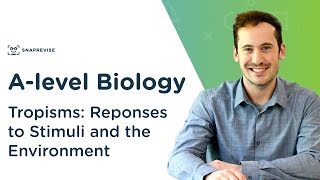 Plant Responses Tropisms  Alevel Biology  OCR AQA Edexcel [upl. by Chaffee137]