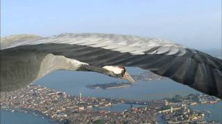 Flying Alongside Common Cranes Over Venice [upl. by Iggie]