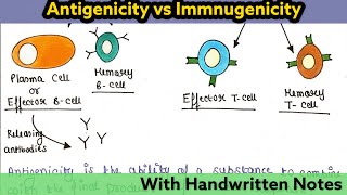 Antigenicity and Immunogenicity  Immunology Lecture 20 [upl. by Moll]