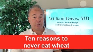 Ten reasons to never eat wheat [upl. by Avilla185]