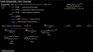 Eicosanoids  Intro  Overview free sample [upl. by Norm]