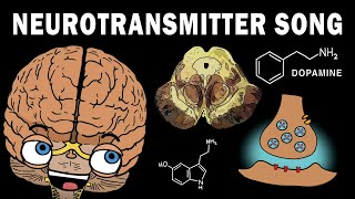 THE NEUROTRANSMITTER SONG [upl. by Ecinahc]