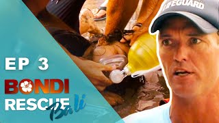 Drowning Teenagers Pulled From Sea  Bondi Rescue Bali  Episode 3 FULL Episode [upl. by Carmelina834]