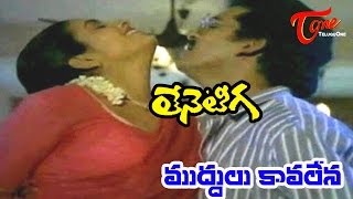 Teneteega Songs  Muddul Kavalena  Rajendra Prasad  Rekha  Sitara [upl. by Zaragoza]