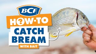 Catch Bream with Bait  BCF How To [upl. by Enia]