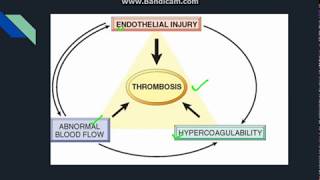 Thrombosis [upl. by Cutcliffe]