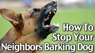 How To Stop Your Neighbor’s Dog From Barking  Short Version [upl. by Albin]