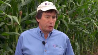 Ammonium Sulfate for High Yield Systems Part One [upl. by Glenden]