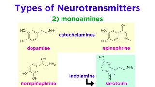 Neurotransmitters Type Structure and Function [upl. by Florri]