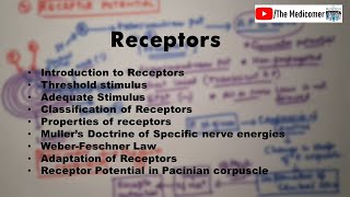 Receptors Physiology [upl. by Normak241]