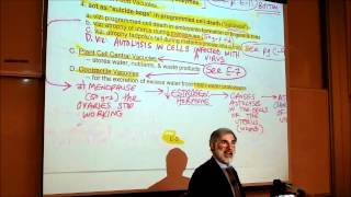 BIOLOGY CYTOLOGY PART 3 by Professor Fink [upl. by Bonnibelle381]