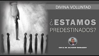 ¿Estamos predestinados  Divina Voluntad  Dr Salvador Thomassiny [upl. by Selrahcnhoj799]