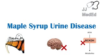 Maple Syrup Urine Disease  Pathogenesis Signs amp Symptoms Subtypes Diagnosis and Treatment [upl. by Peri]