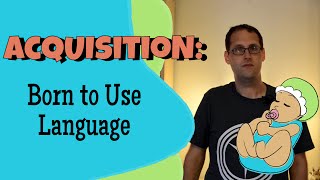 Language Acquisition and Universal Grammar [upl. by Ael]