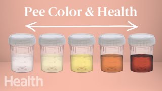 What Your Urine Color Says About Your Health  Urinary System Breakdown  DeepDives [upl. by Derrek914]