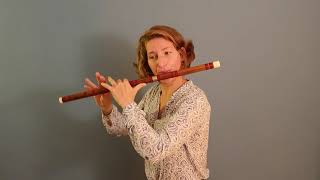 Dizi  chinese bamboo flute [upl. by Vallonia]