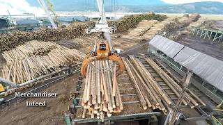 Logs to Lumber  An aerial journey through the sawmill [upl. by Daberath]