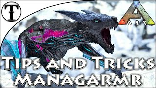 Fast Managarmr Taming Guide  Ark  Survival Evolved Tips and Tricks [upl. by Pulcheria]