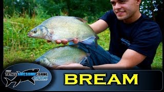 Float Fishing for Bream with Sweetcorn  The Totally Awesome Fishing Show [upl. by Weylin]