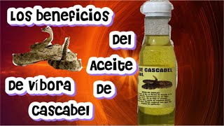 los beneficios del aceite de víbora de cascabel ❓ya lo conoces❓ [upl. by Aynik173]