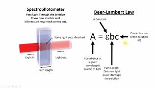 Beers Law Overview [upl. by Uund788]