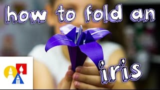 How To Fold An Origami Iris [upl. by Razid]