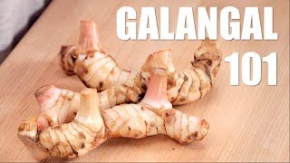 Ultimate Guide to GALANGAL  Hot Thai Kitchen [upl. by Vedi962]