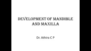 Development of Mandible and Maxilla [upl. by Eelytsirk]