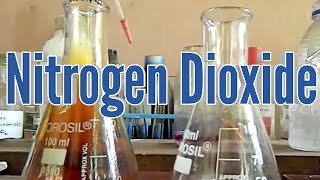 Nitrogen Dioxide  preparation and properties [upl. by Eitirahc]