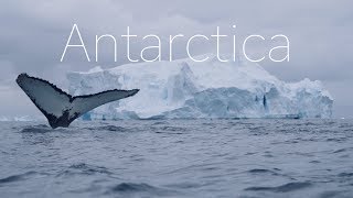 ANTARCTICA  The Frozen Continent  4k DRONE Video [upl. by Anelrats]